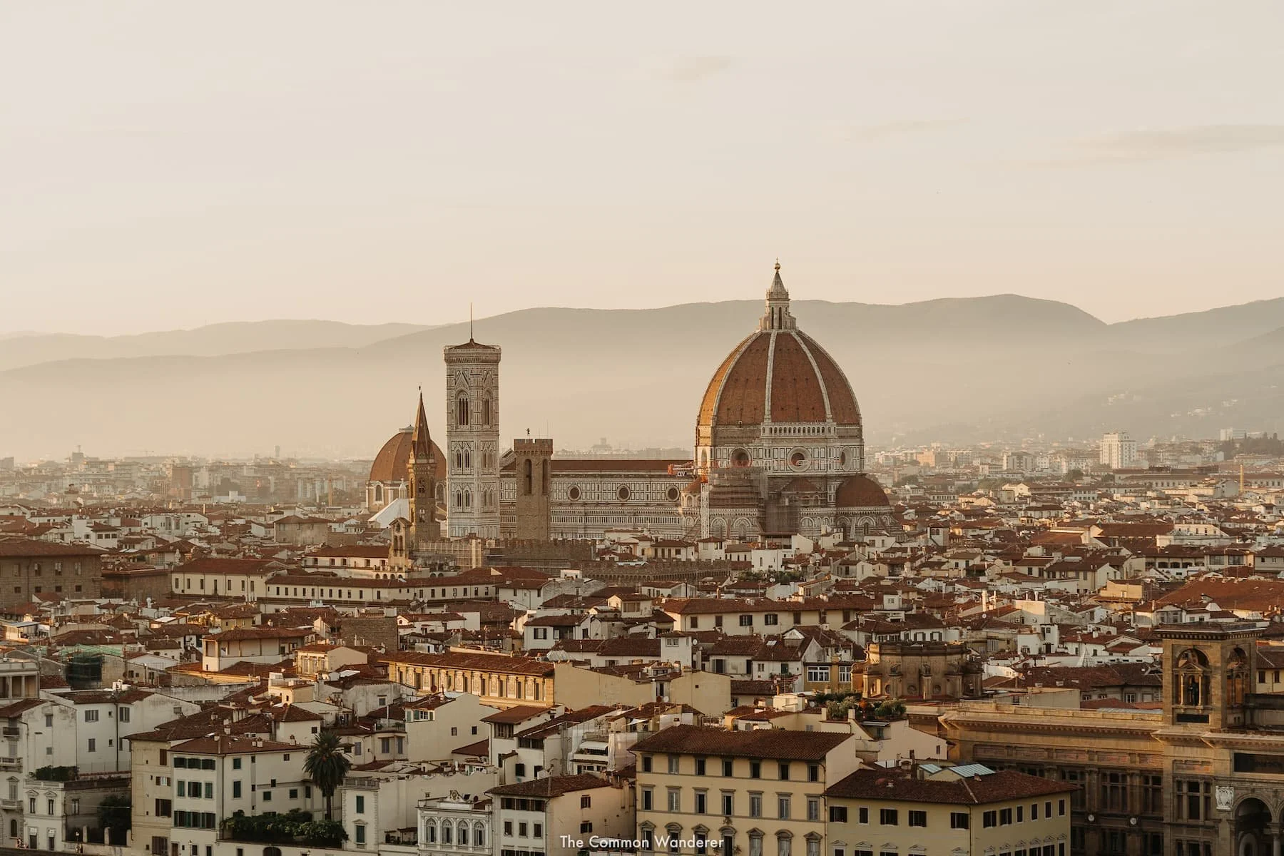 Conte of florence hot sale primavera estate 2019